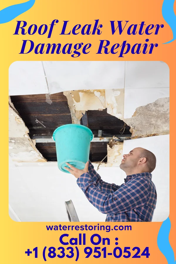 Roof Leak Water Damage Repair in Walters, MN
